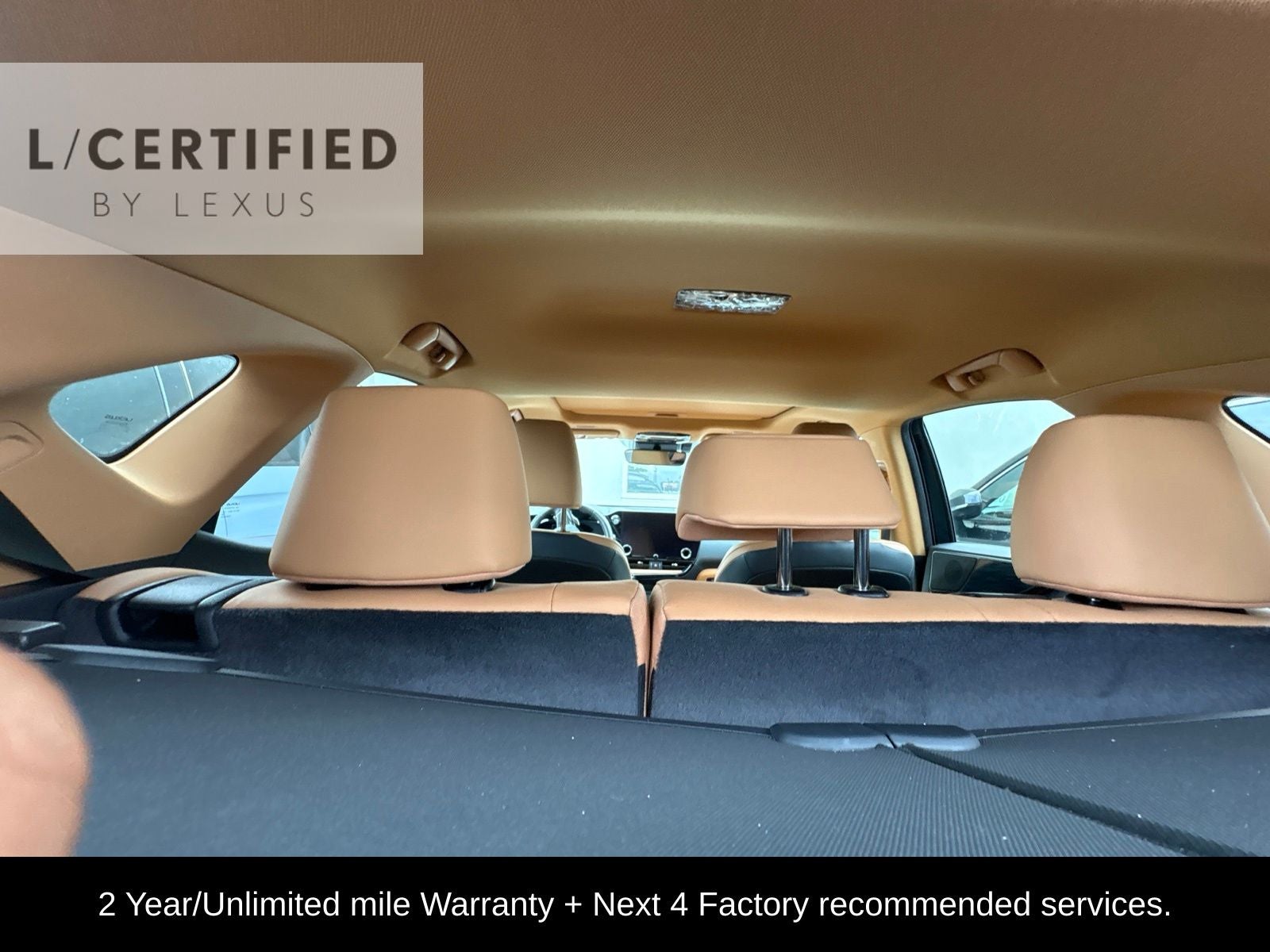 2024 Lexus NX 250 Premium