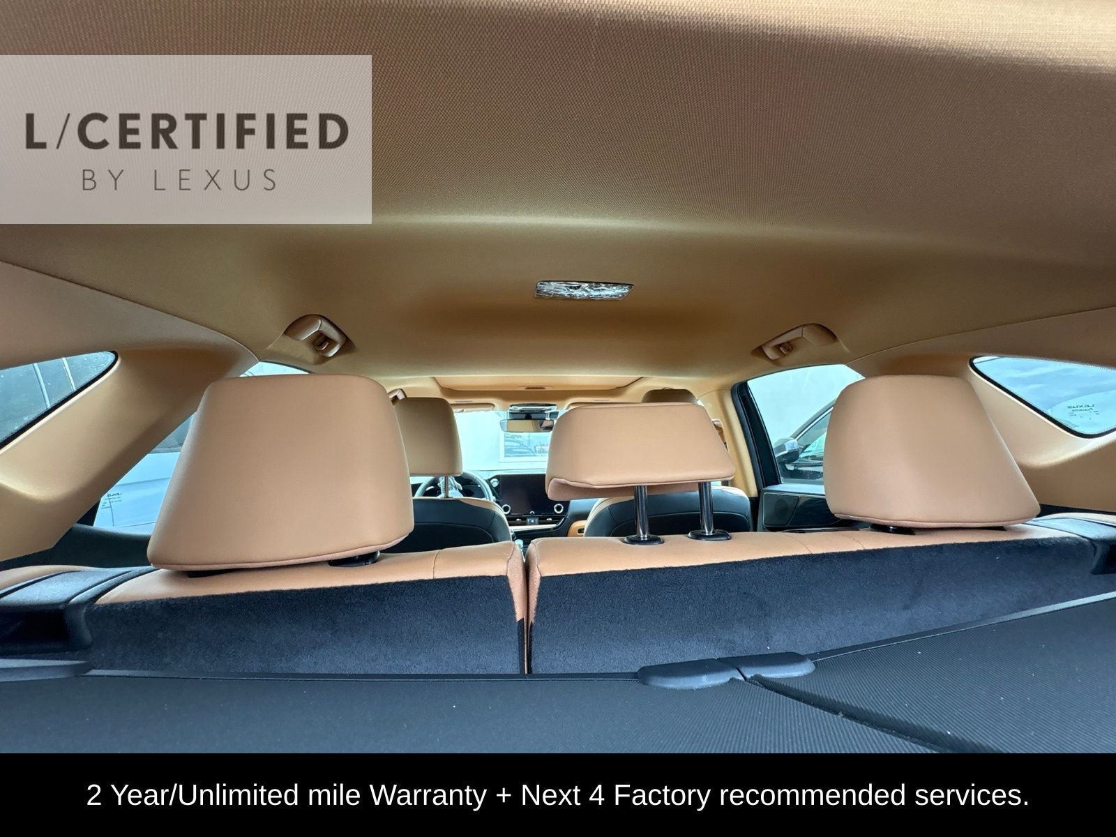 2024 Lexus NX 250 Premium