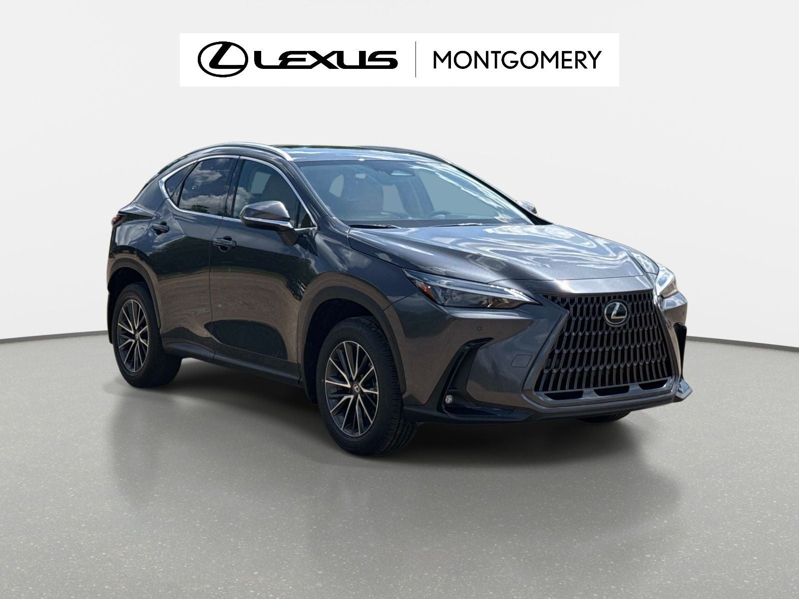 2025 Lexus NX 250 Premium