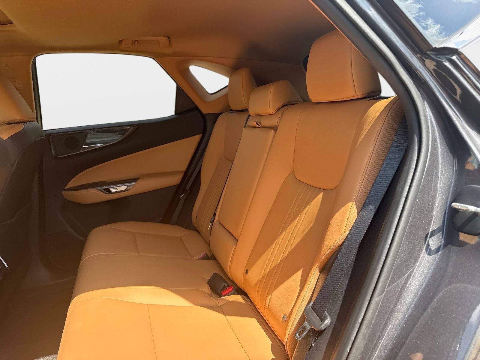 2025 Lexus NX 250 Premium