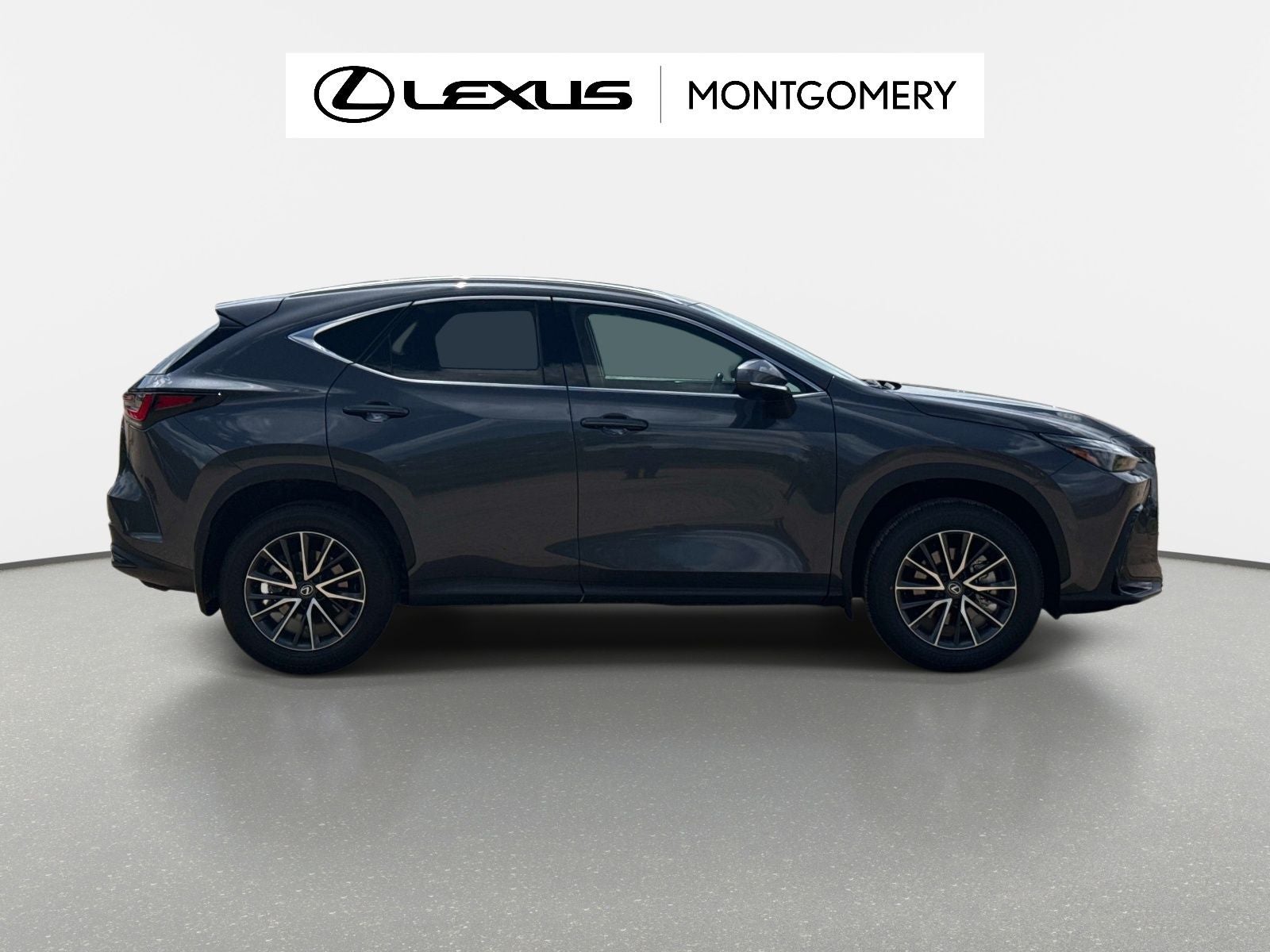 2025 Lexus NX 250 Premium