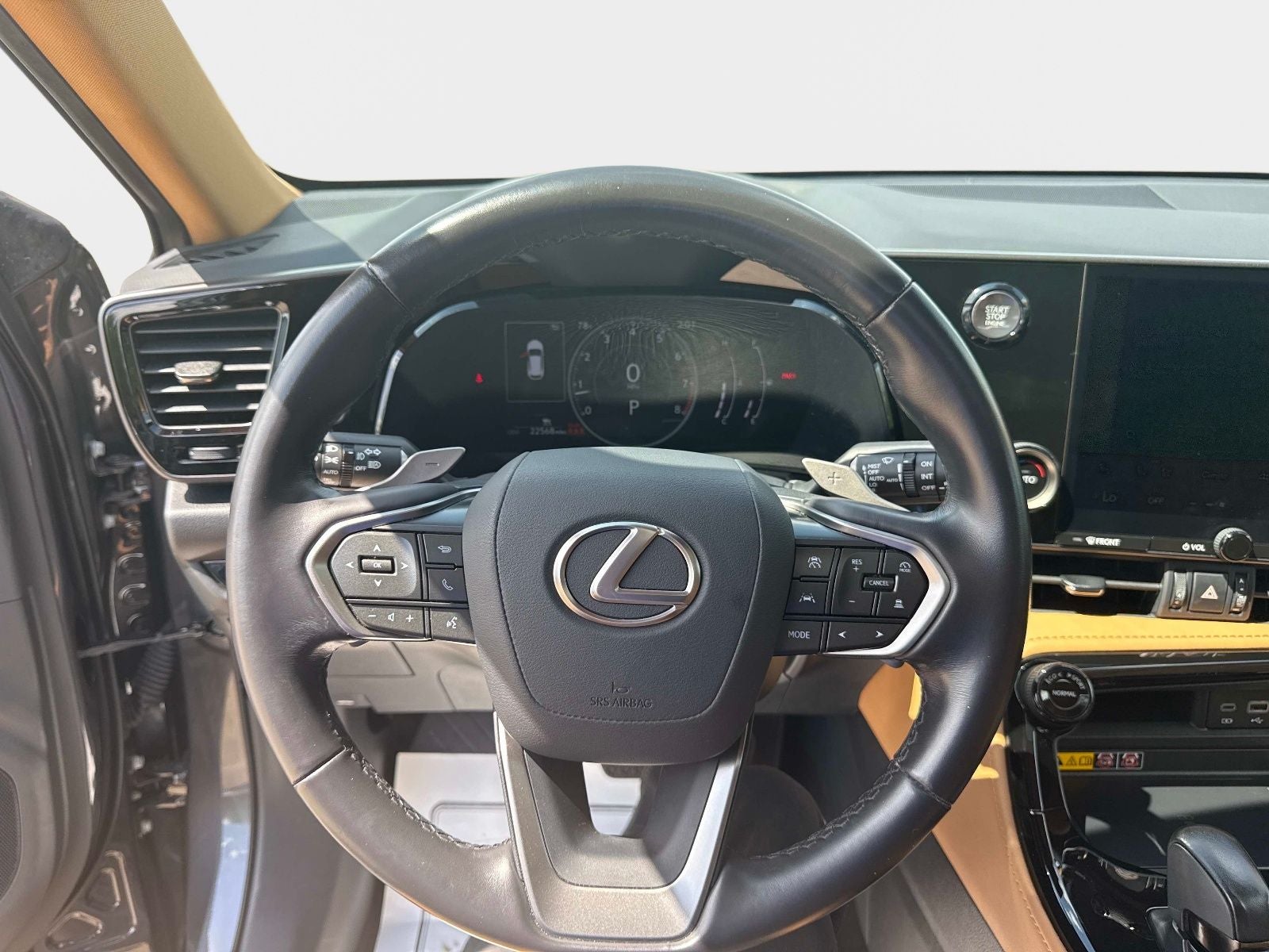 2025 Lexus NX 250 Premium