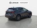 2025 Lexus NX 250 Premium
