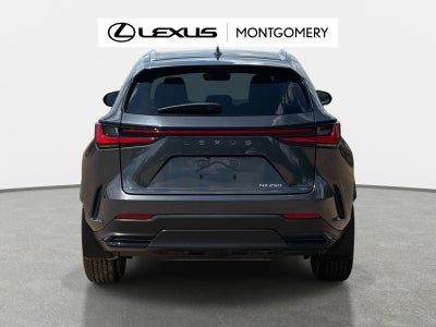 2025 Lexus NX 250 Premium