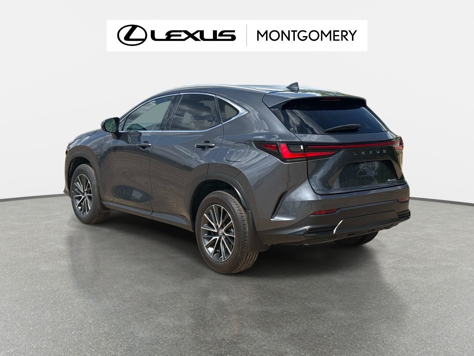 2025 Lexus NX 250 Premium