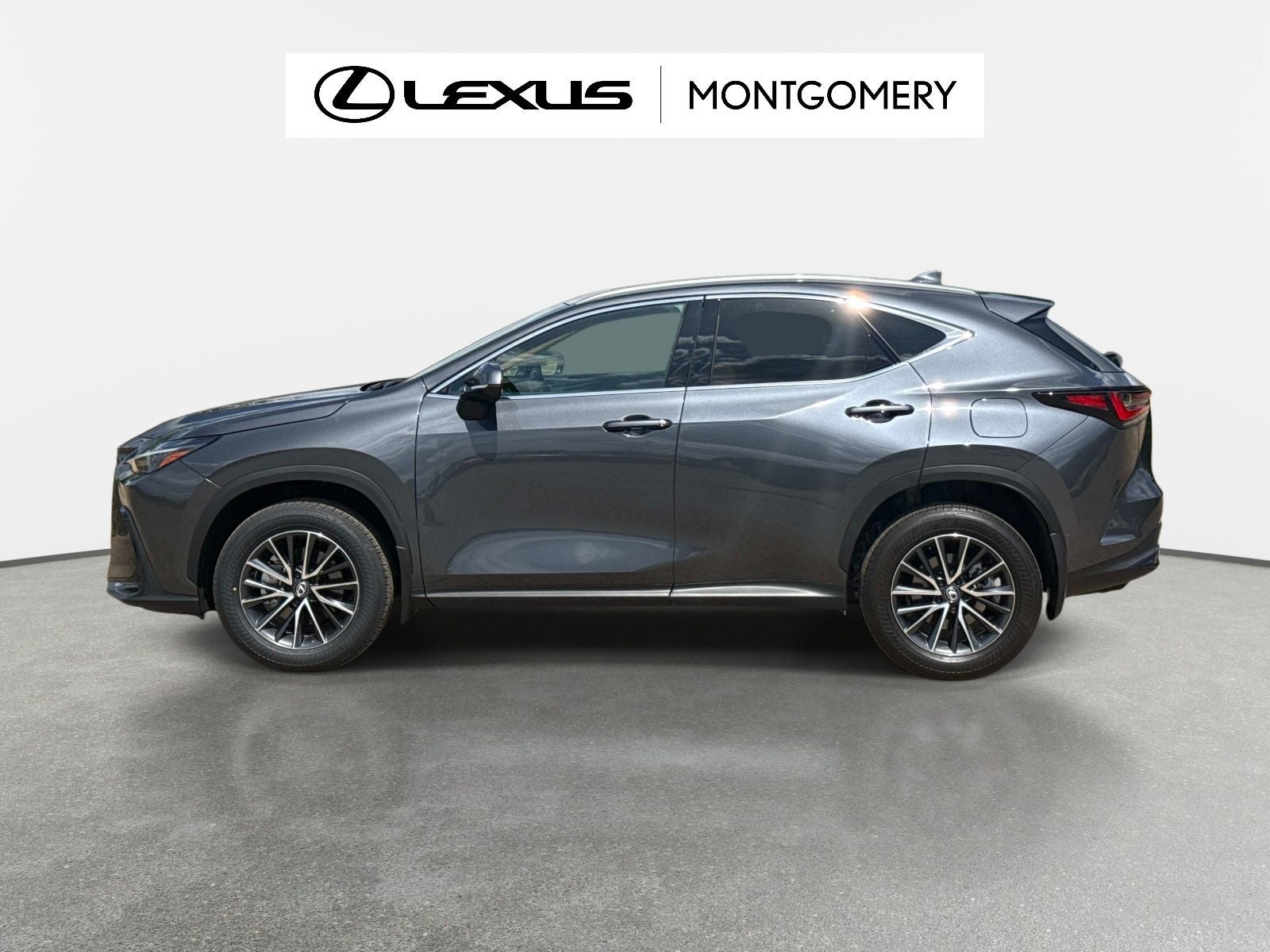 2025 Lexus NX 250 Premium