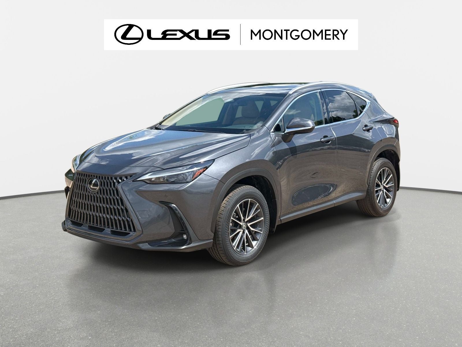 2025 Lexus NX 250 Premium