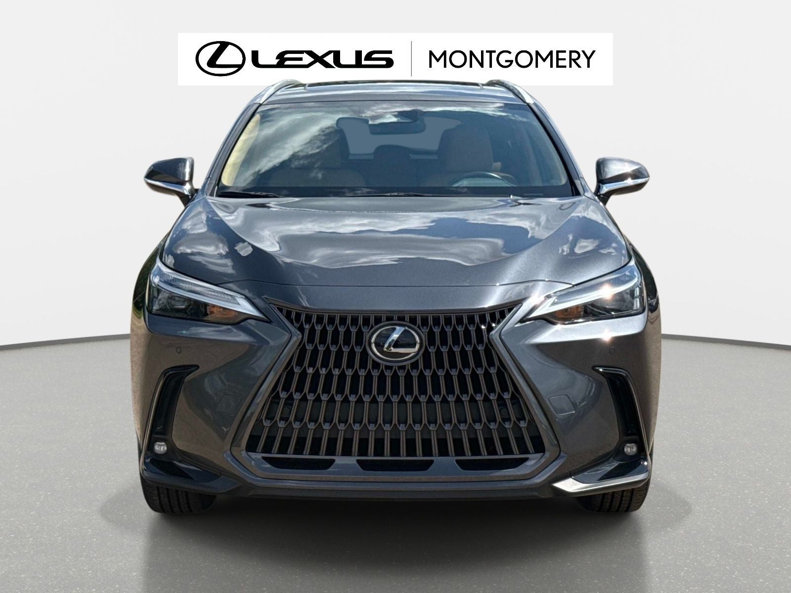 2025 Lexus NX 250 Premium