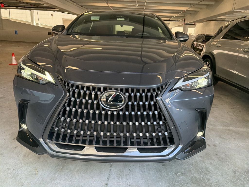 2024 Lexus NX 350 Premium