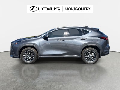 2024 Lexus NX 350 Premium