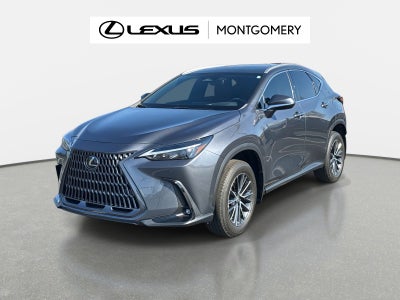 2024 Lexus NX 350 Premium