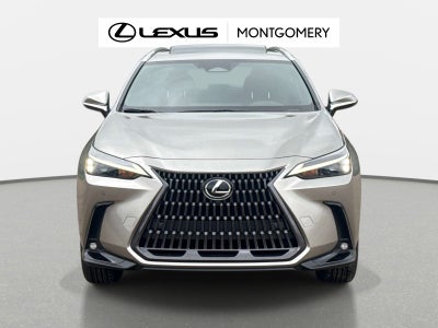 2026 Lexus NX 350 Premium