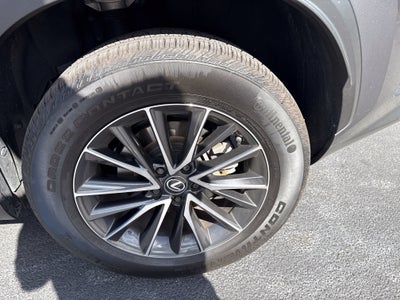 2024 Lexus NX 350 Premium