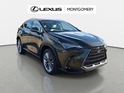 2026 Lexus NX 350 Luxury