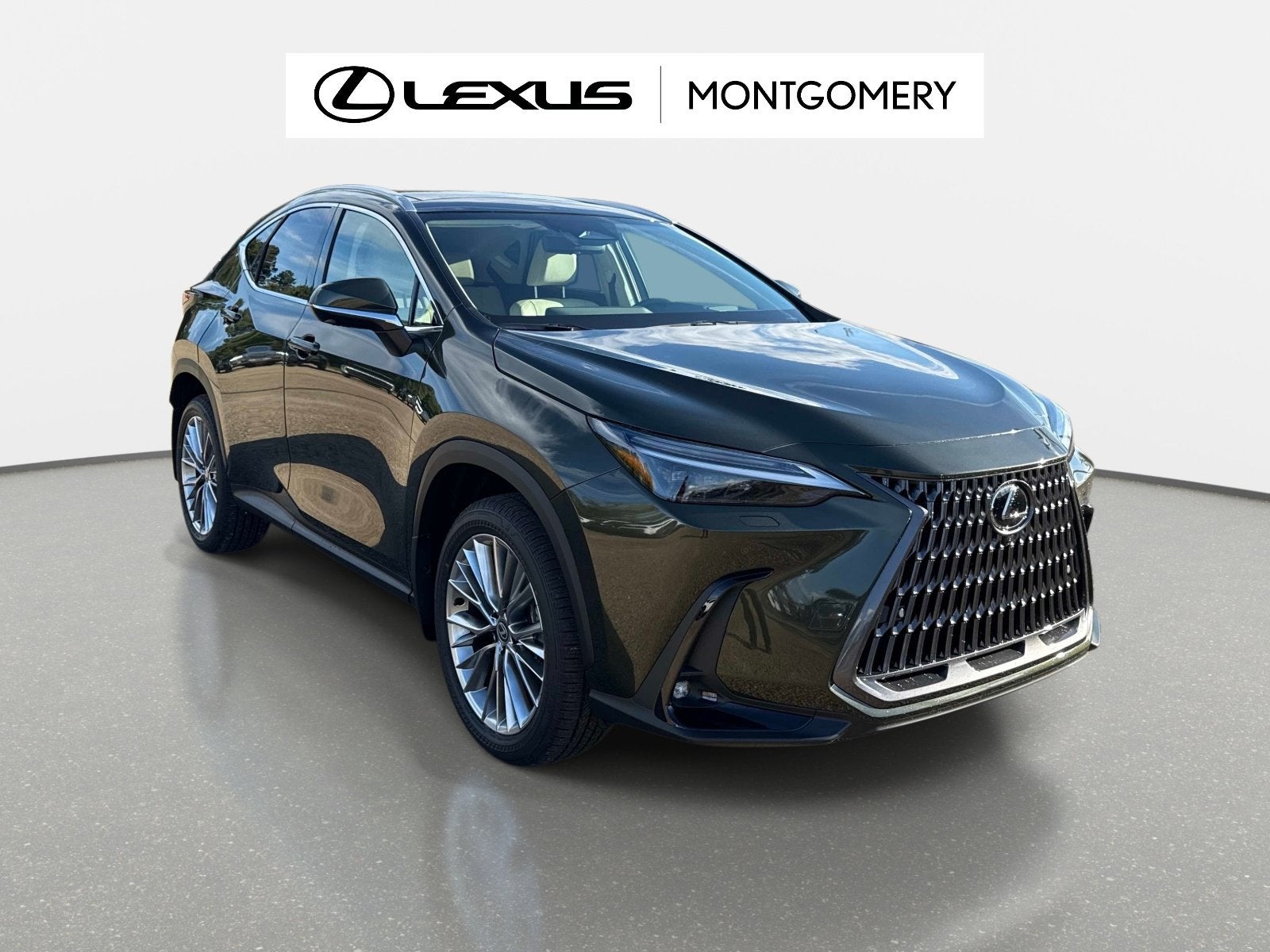 2026 Lexus NX 350 Luxury