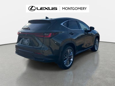 2026 Lexus NX 350 Luxury