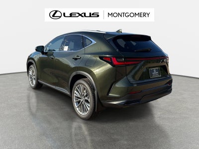 2026 Lexus NX 350 Luxury