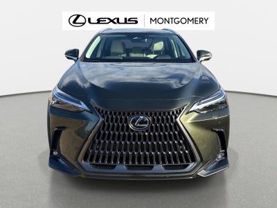 2026 Lexus NX 350 Luxury