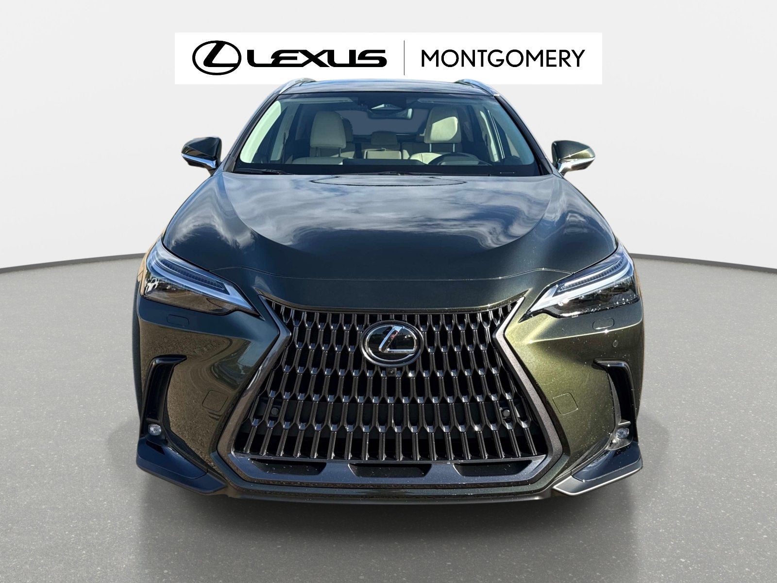 2026 Lexus NX 350 Luxury