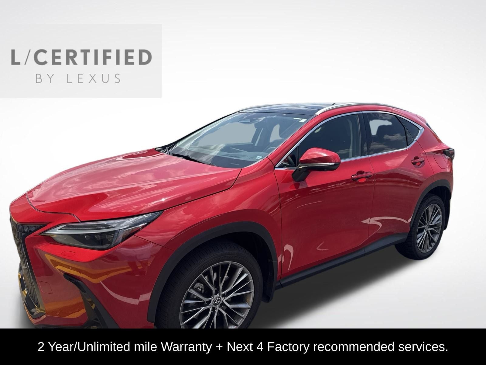 2023 Lexus NX 350 Luxury