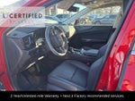 2023 Lexus NX 350 Luxury