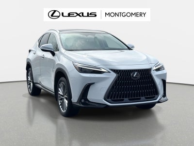 2026 Lexus NX 350 Luxury