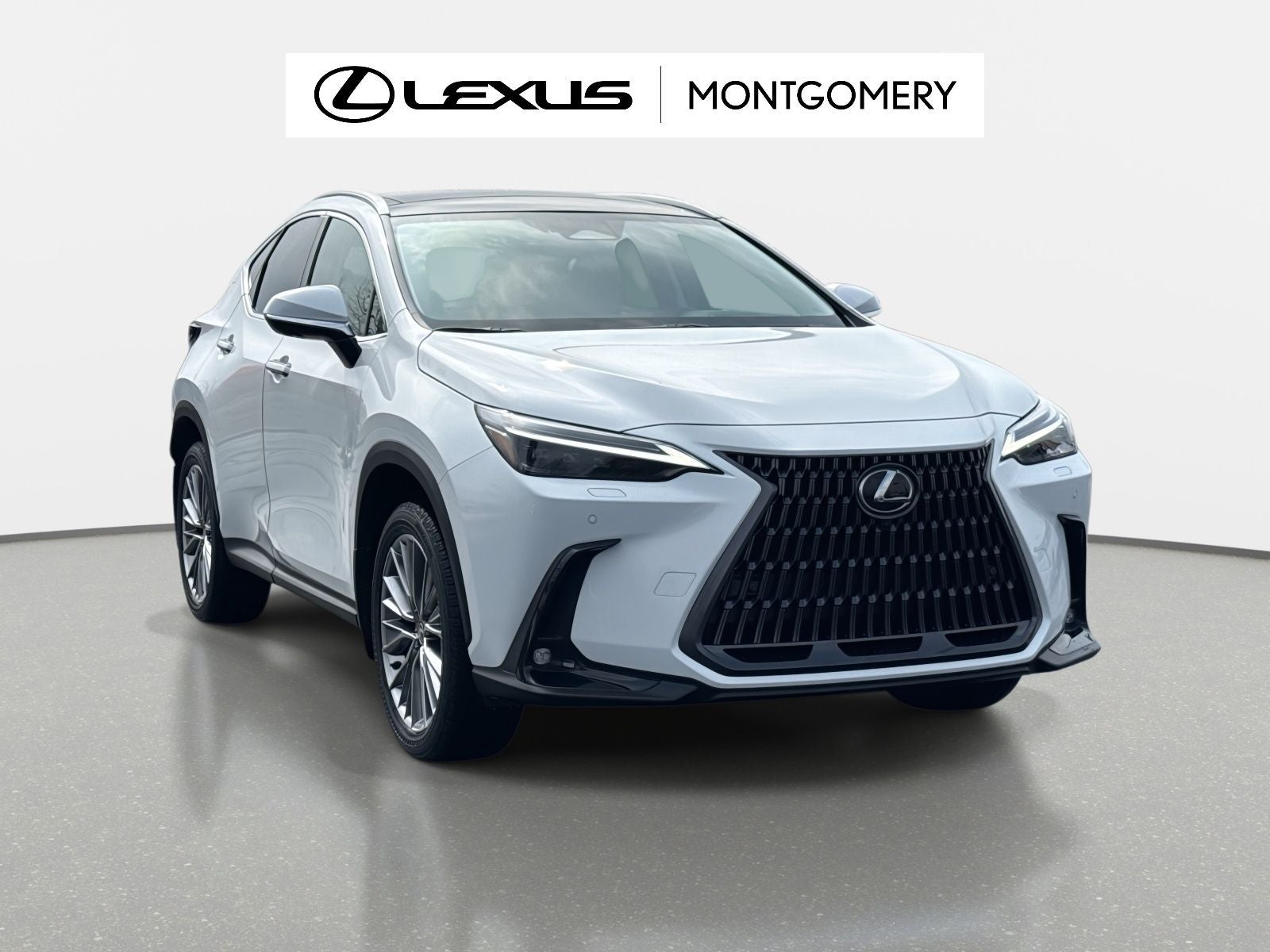 2026 Lexus NX 350 Luxury