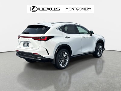 2026 Lexus NX 350 Luxury