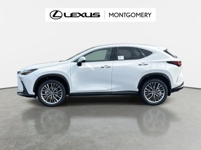 2026 Lexus NX 350 Luxury