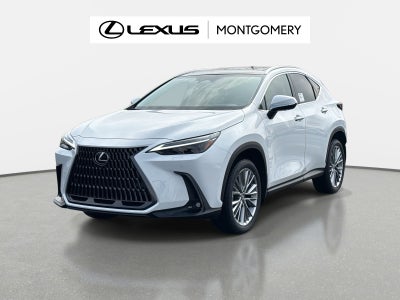 2026 Lexus NX 350 Luxury