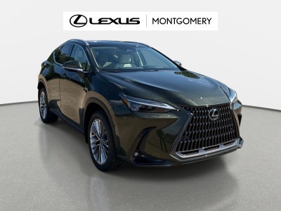 2026 Lexus NX 350 Luxury