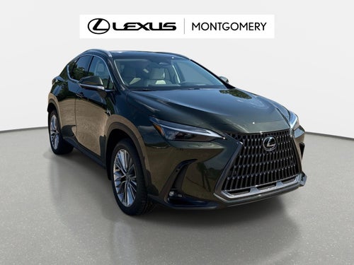 2026 Lexus NX 350 Luxury
