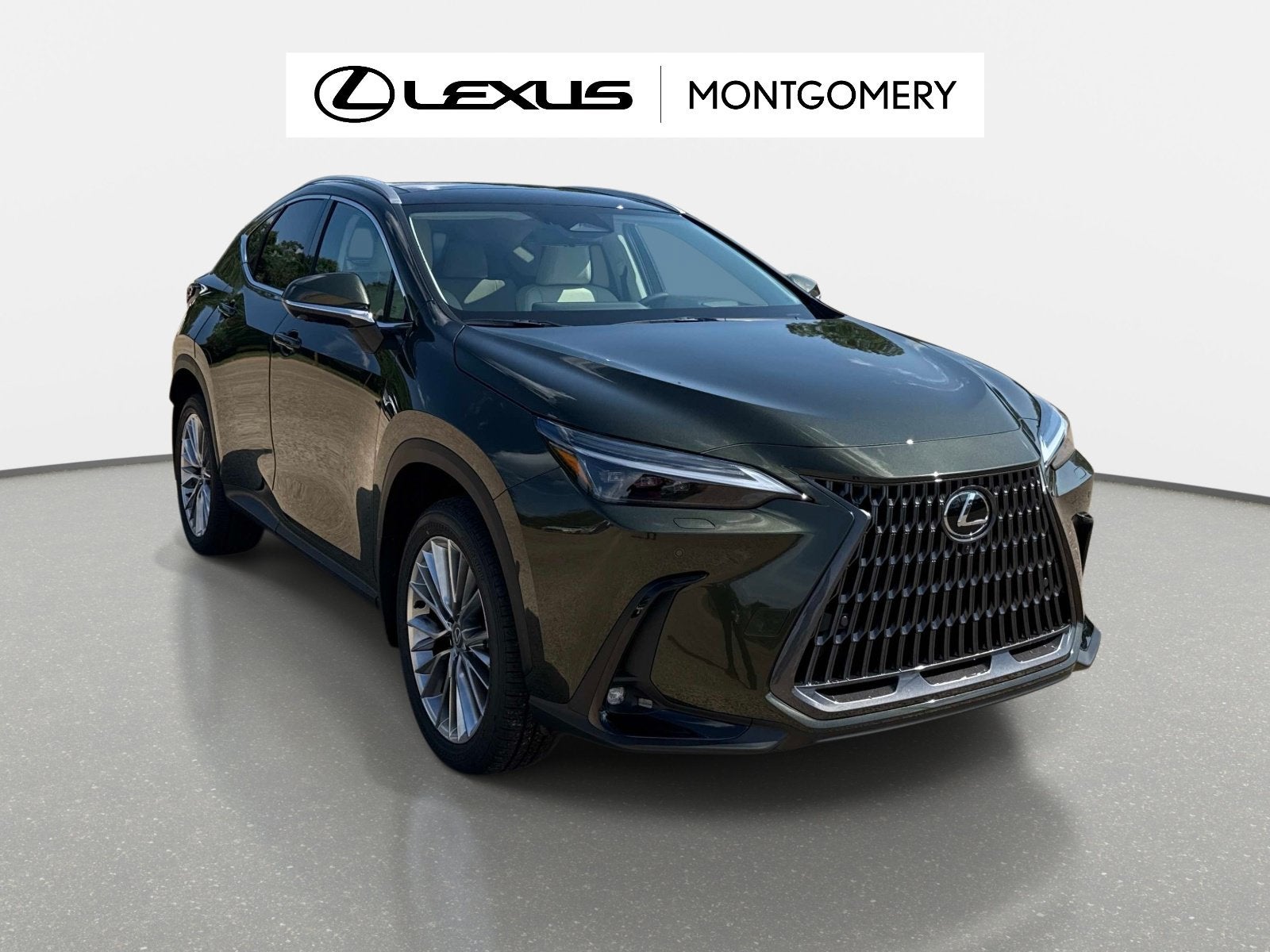 2026 Lexus NX 350 Luxury
