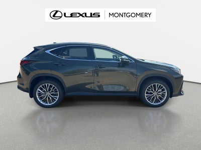 2026 Lexus NX 350 Luxury