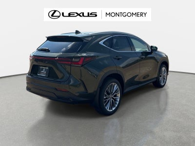 2026 Lexus NX 350 Luxury