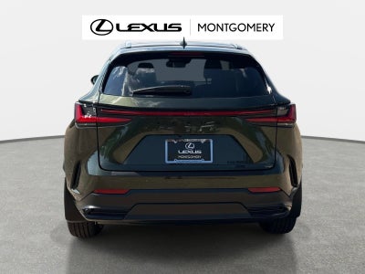 2026 Lexus NX 350 Luxury