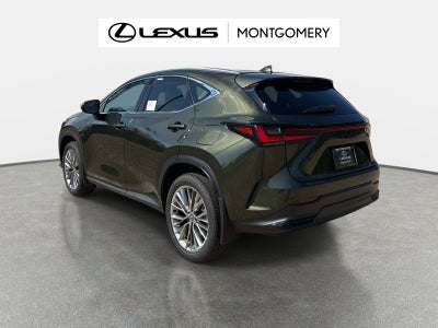 2026 Lexus NX 350 Luxury