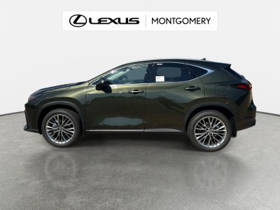 2026 Lexus NX 350 Luxury