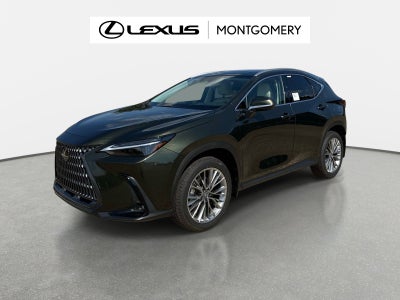 2026 Lexus NX 350 Luxury