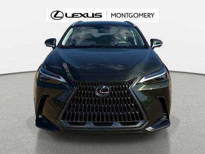 2026 Lexus NX 350 Luxury