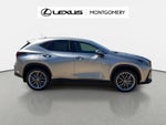 2026 Lexus NX 350 Luxury