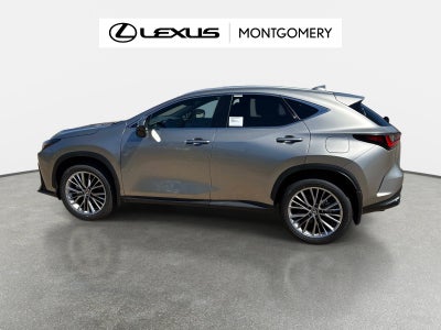 2026 Lexus NX 350 Luxury