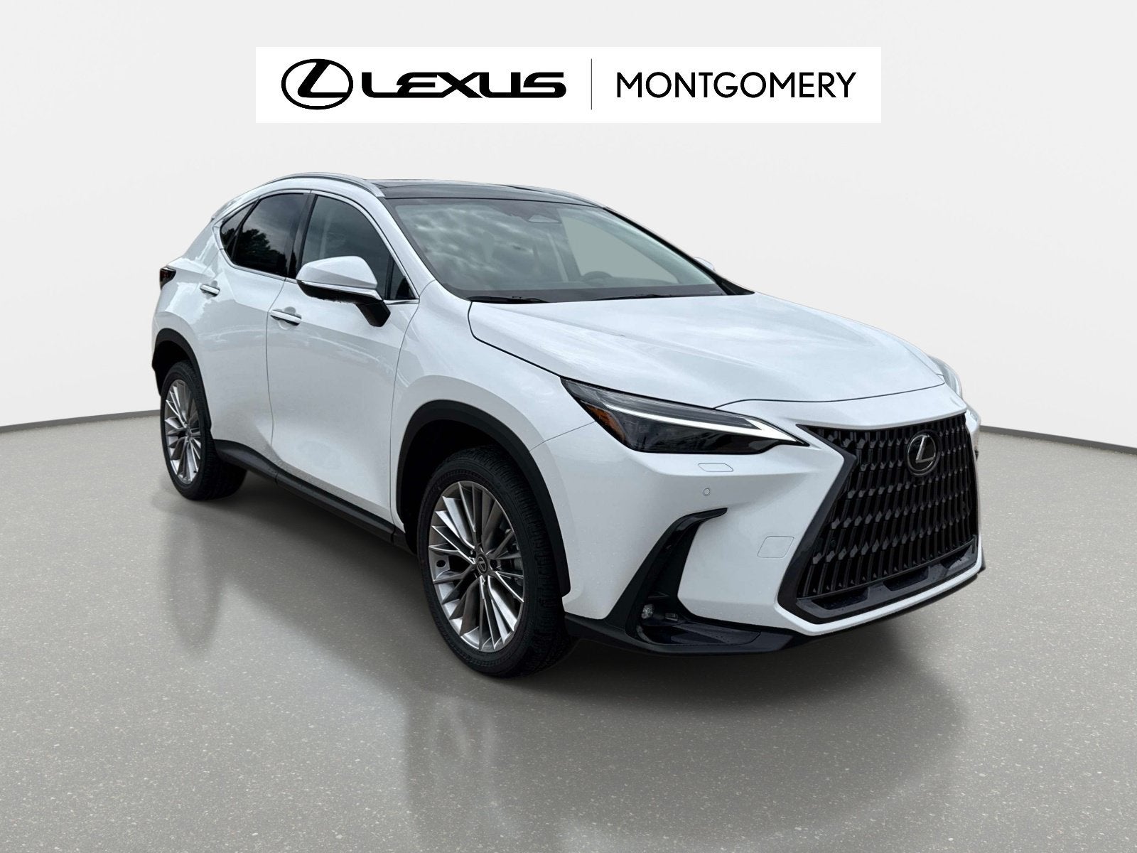 2026 Lexus NX