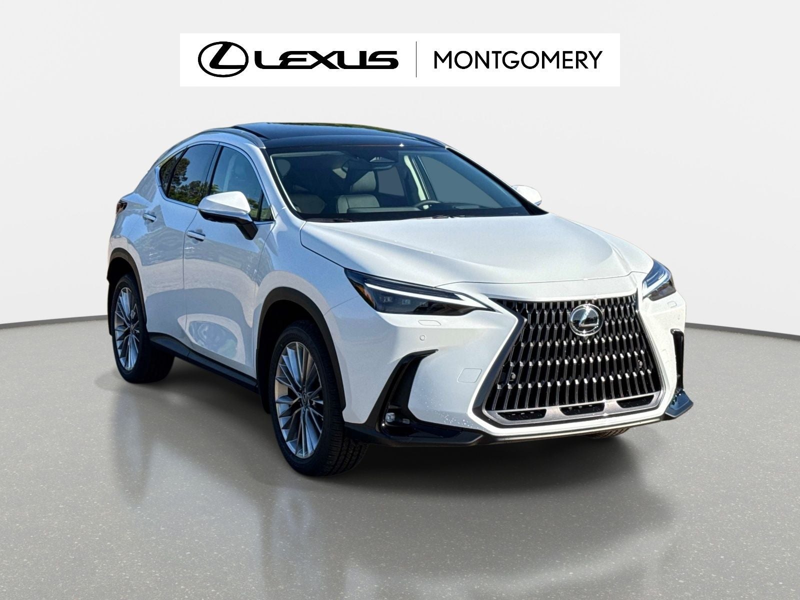 2026 Lexus NX 350 Luxury