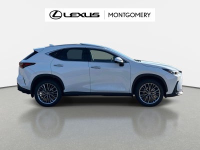 2026 Lexus NX 350 Luxury