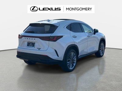 2026 Lexus NX 350 Luxury