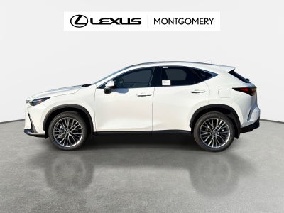 2026 Lexus NX 350 Luxury