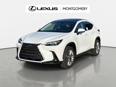 2026 Lexus NX 350 Luxury