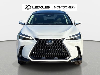2026 Lexus NX 350 Luxury