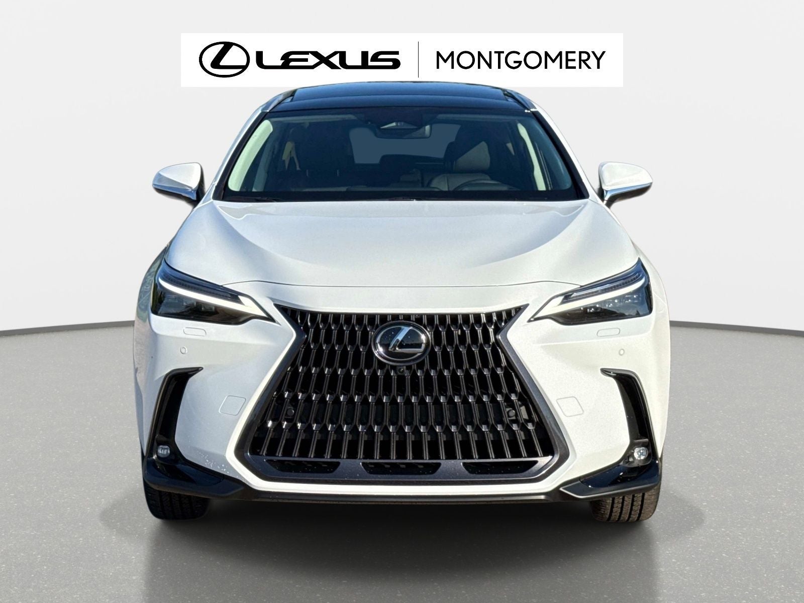 2026 Lexus NX 350 Luxury